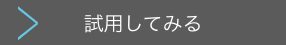 試用してみる